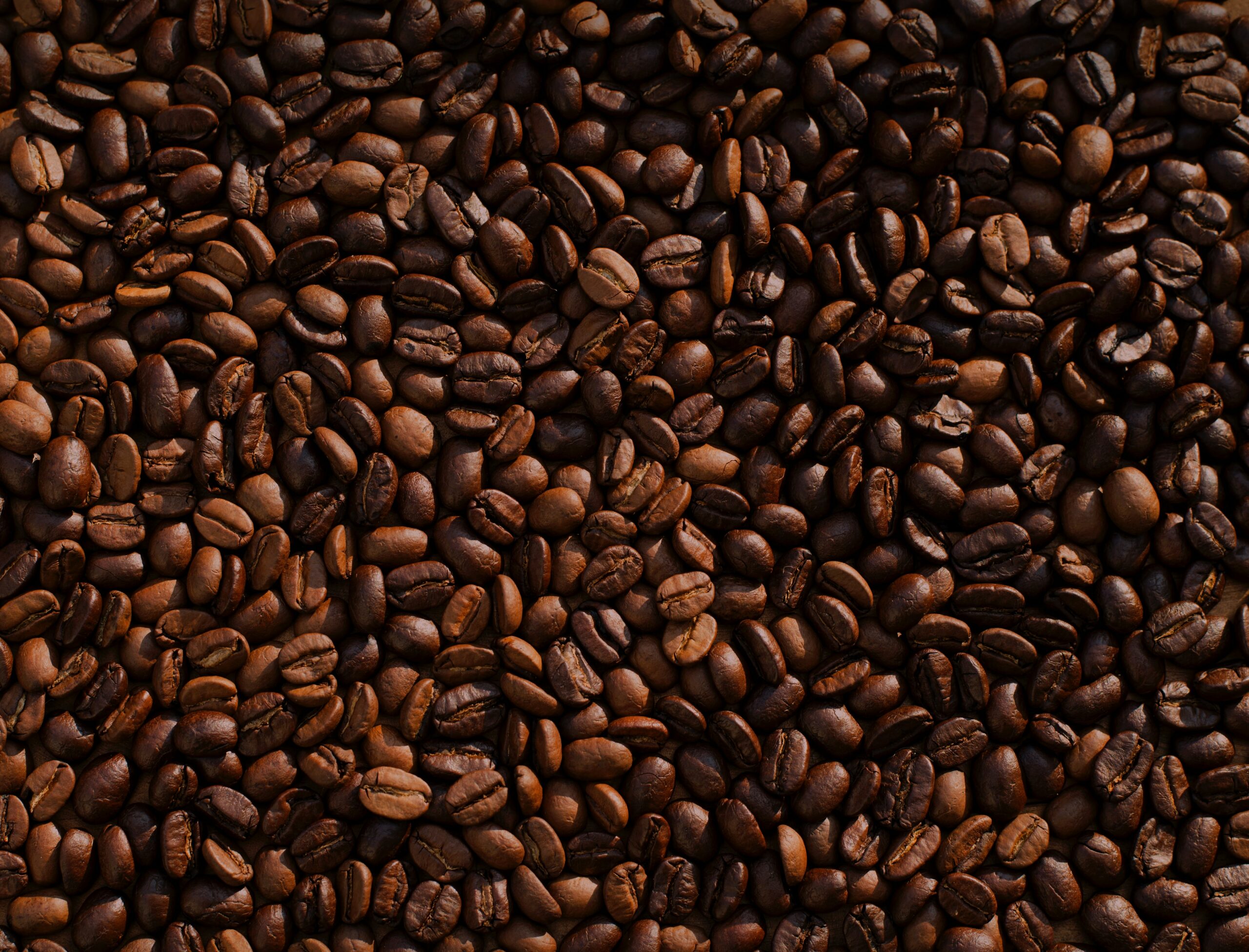 fair trade coffee facts
