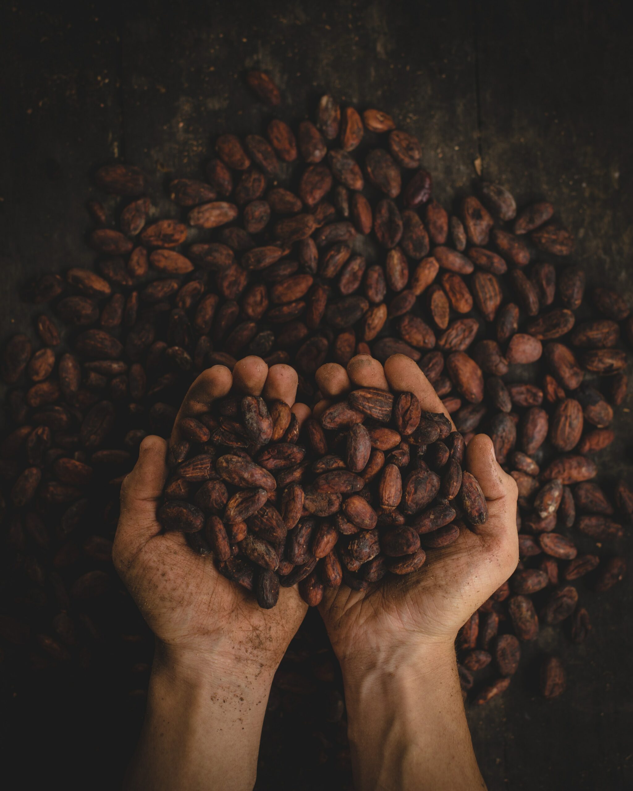 fair trade coffee facts