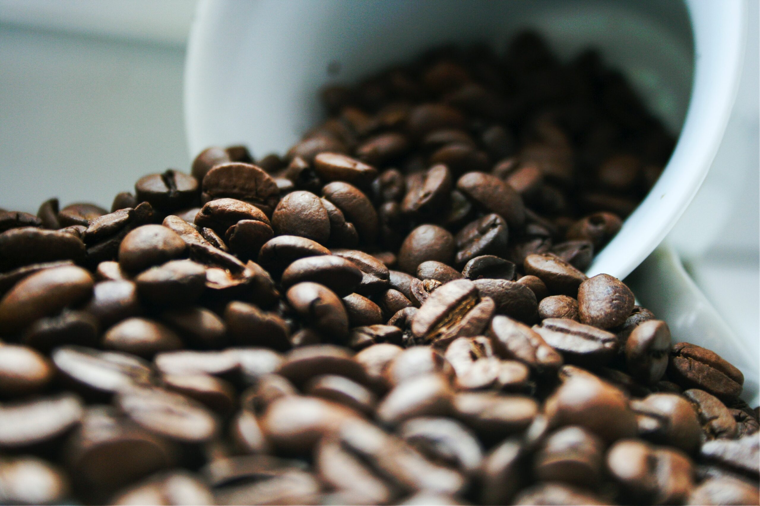 Coffee Taste Test Results